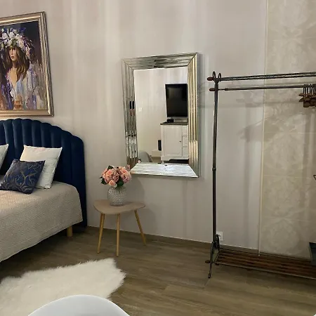 Large Beautiful Near The Negresco Appartement Nice