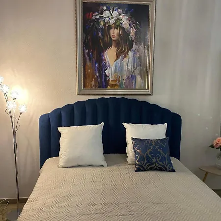 Large Beautiful Near The Negresco Appartement