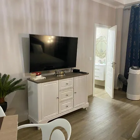 Large Beautiful Near The Negresco Appartement